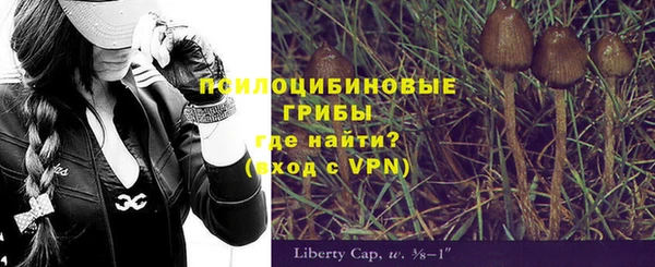 apvp Балахна
