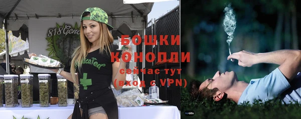 спиды Арсеньев