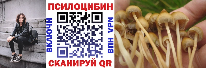 Галлюциногенные грибы ЛСД  где можно купить наркотик  Верхняя Салда 