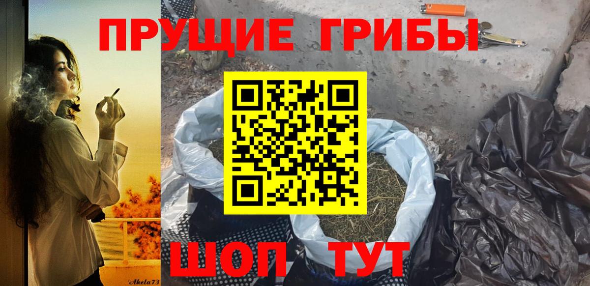 Галлюциногенные грибы Psilocybine cubensis Верхняя Салда